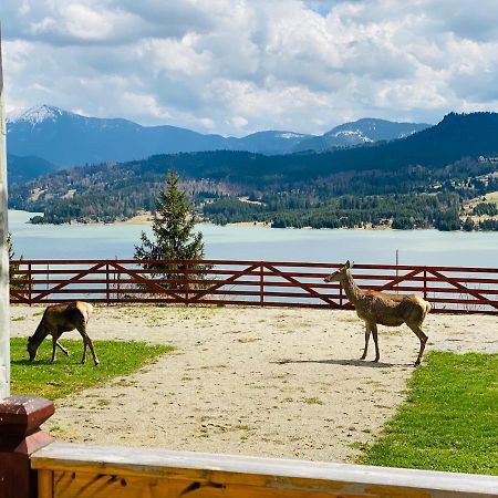 Pensiunea Farmecul Naturii Si Casute Individuale De Inchiriat Colibita Bagian luar foto