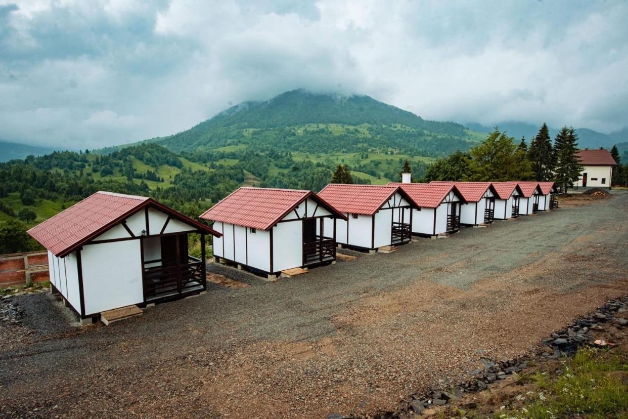 Pensiunea Farmecul Naturii Si Casute Individuale De Inchiriat Colibita Bagian luar foto