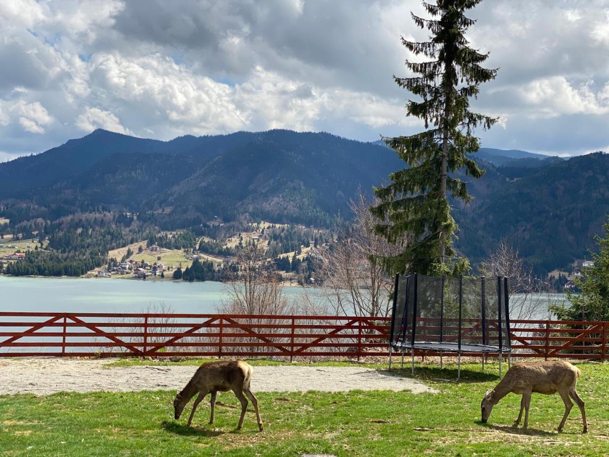 Pensiunea Farmecul Naturii Si Casute Individuale De Inchiriat Colibita Bagian luar foto